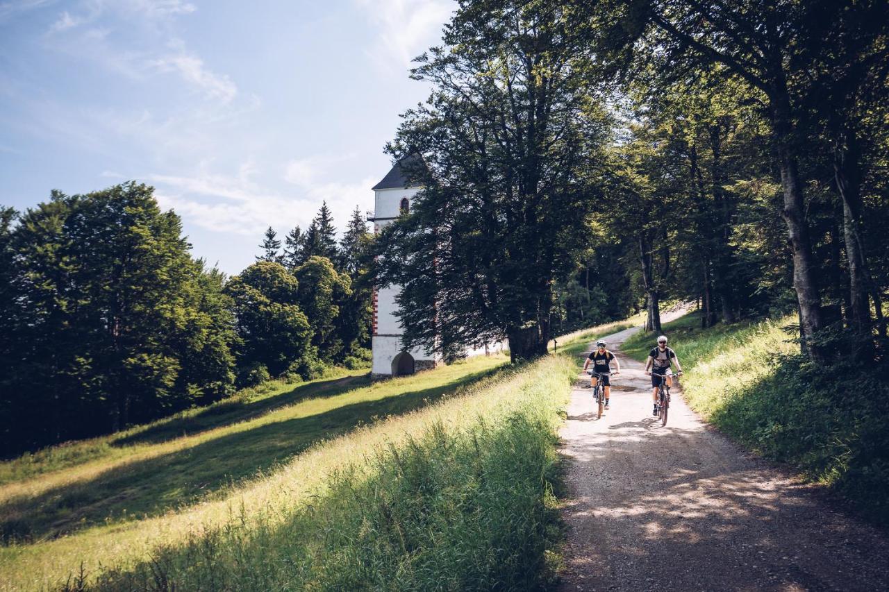 Pohorje Village Wellbeing Resort - Wellness & Spa Hotel Bolfenk Марібор Екстер'єр фото